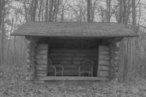The Cabin Grayscale